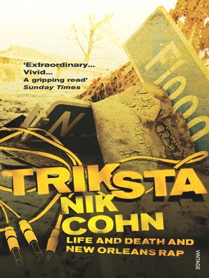 cover image of Triksta